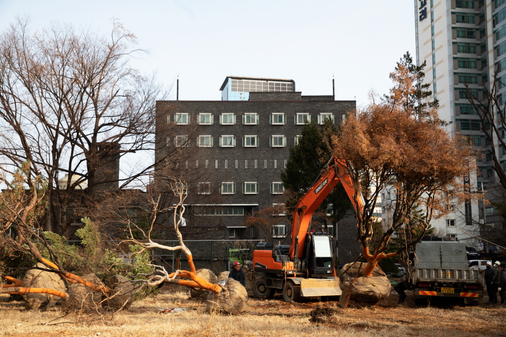 민주인권기념관의 나무를 옮겨심기 위해 작업하는 모습