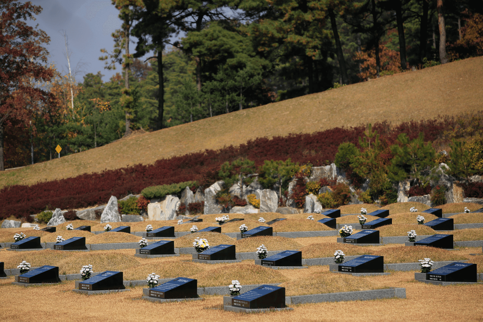 Korea Democratization Movement Memorial Park 이미지